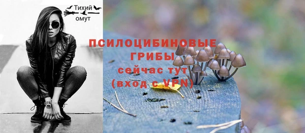 хмурый Заволжье