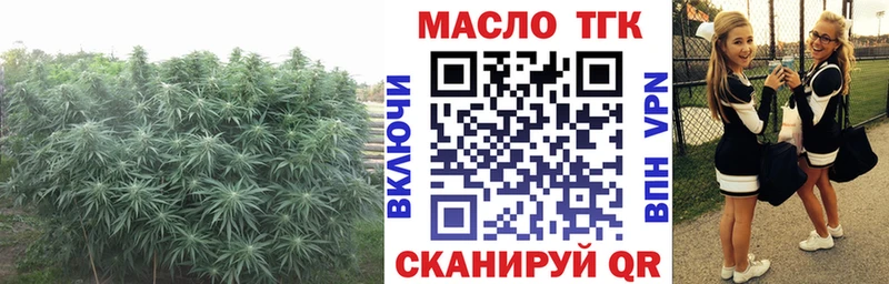 ТГК вейп  наркота  Копейск 
