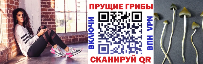 Галлюциногенные грибы прущие грибы  Копейск 